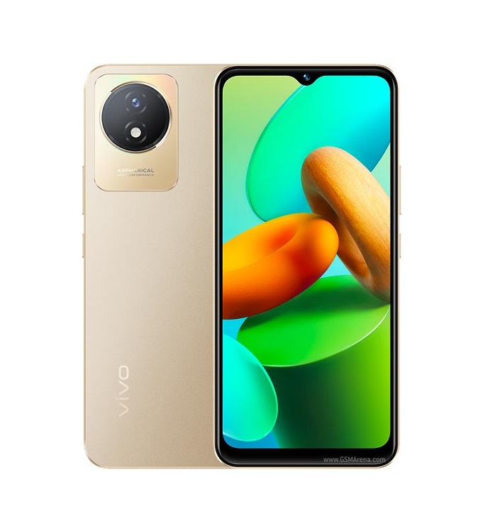 VIVO Y02T